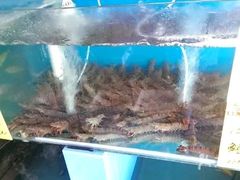 -沙头涌渔栏海鲜餐厅