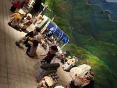 -成都泰迪熊博物馆