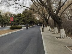 -北陵公园