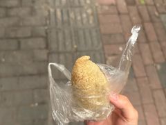 -范嬢嬢春森路糯米团