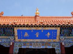 -大召无量寺