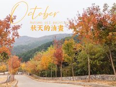 -北京西山国家森林公园