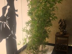 -新紫霞养生·影院足道·SPA(金山区店)