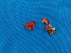 -西安交通大学口腔医院(主院区)