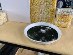 -太湖雪蚕桑文化园