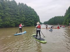 -上海海湾国家森林公园