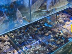 -前王院•巧克力海鲜市集餐厅(万平口店)