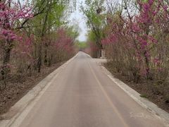 -淇河国家湿地公园