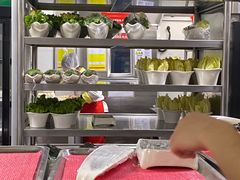 -海底捞火锅(松雷店)