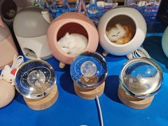 -The Green Party(碧湖万达广场店)