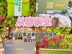 -日照灯塔风景区