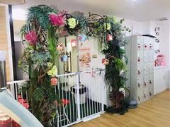 -Husky Go! 哈士奇体验馆·宠物咖啡厅狗咖