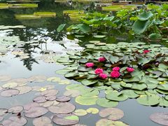 -国家植物园南园