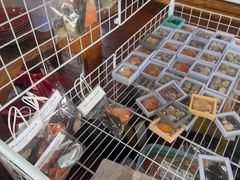 -蓝湾碧波·老字号·疍家非遗海上餐厅