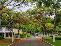 -厦门国家会计学院