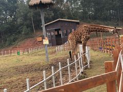 -黄龙溪欢乐田园