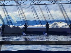 -秦皇岛乐岛海洋王国