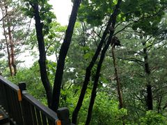 -帽儿山国家森林公园