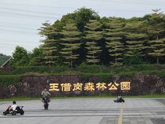 -王借岗森林公园