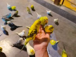 -酷嗒动物文化乐园(cutezoo西溪乐天城店)