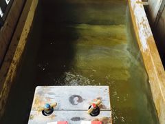 -滨千鸟之汤 海舟