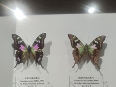 -吉林省自然博物馆