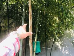 -王阳明故居