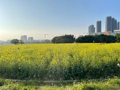 -光明小镇欢乐田园