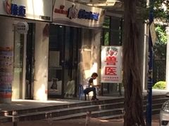 -芭比堂动物医院(广州爱宠下渡路分院)