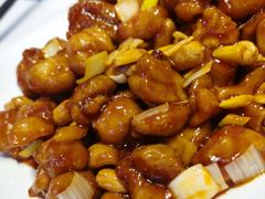 -峨嵋酒家 南北川菜 优选烤鸭(广渠路店)