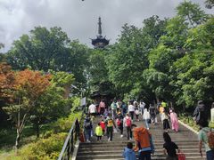 -佘山国家森林公园-西佘山停车场