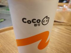 双拼牛奶可可-CoCo都可(合生汇店)