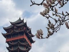 -塔子山公园