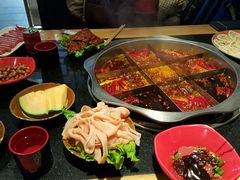 -董家湾重庆老火锅(嘉华店)