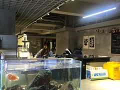 水产区-浣熊柯尔鸭土拨鼠·电玩咖