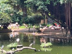 -九龙公园