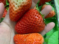 -百果园(文庄路店)