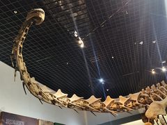 -衢州市博物馆