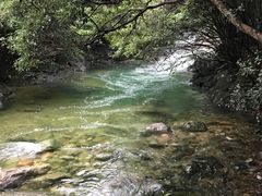 -祁门牯牛降观音堂风景区