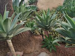 -南通洲际绿博园