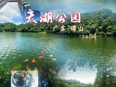-西樵山风景名胜区-天湖公园
