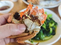 -品鲜村农家菜·阳澄湖大闸蟹(总店)