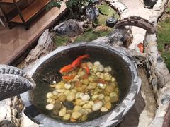 -东椰·海南椰子鸡火锅(朝阳门店)