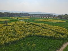-苏州太湖西山岛开心农场