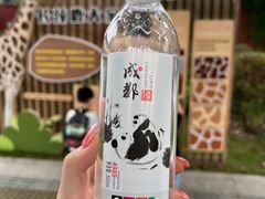 -成都动物园