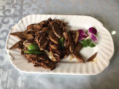 -宝发园名菜馆