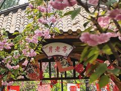 -太阳宫公园