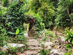 景点-槟城植物园