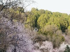 -北京西山国家森林公园