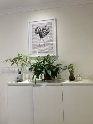 -SILKTONE诗丽堂美容